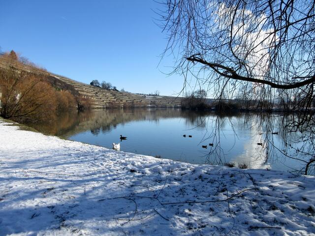 Idylle am Neckar und zur Orientierung immer die Dampfsäule von Neckarwestheim
