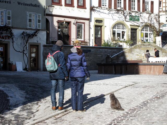 Dann wurde klar. Die Katzen sind stellvertretend als Stadtführer tätig, da wegen Corona keine Führungen stattfinden dürfen. Aufmerksam scheinen die Menschen der Katze zu lauschen