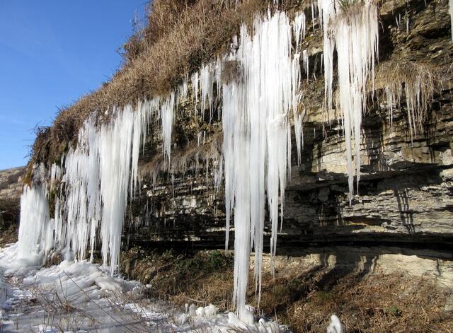Am steilen Prallhang treten Kalke des Oberen Muschelkalkes zutage. Die Quellaustritte erkennt man im Sommer am Moosbewuchs und bei diesen eisigen Temperaturen eben an den Eiszapfen.