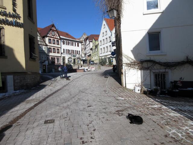 Die Gassen von Bad Wimpfen werden von Katzen zum Sonnenbad genutzt. Sie scheinen hier auf Besucher zu Warten.