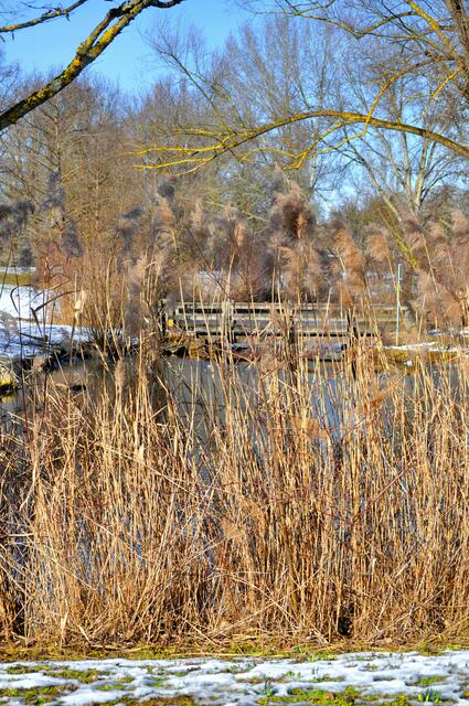 Ausblick auf den See und die Holzbrücke | Foto: Daniela Somers