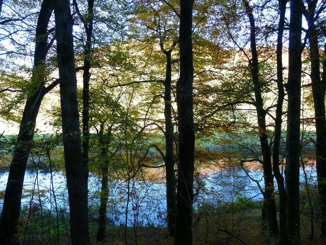 November _ und doch ist der Kocher schillernd blau!