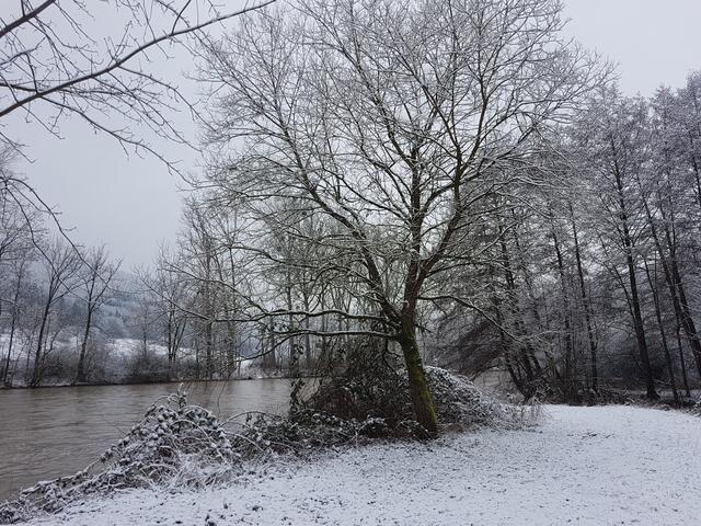 Januar _ Stille Landschaft mit Biberburg und Schnee