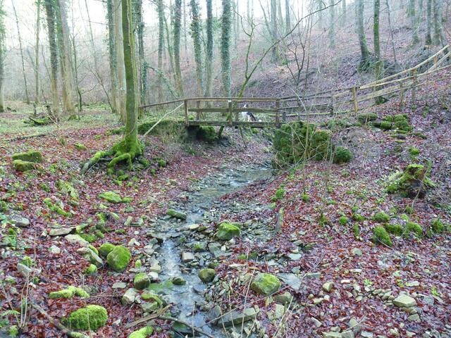 Dezember _ Erlesbach (mit Lügenbrückle) fließt durch das Dorf zum Kocher
