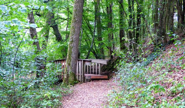 Das Brückle führt über eine kleine "Bachschlucht".