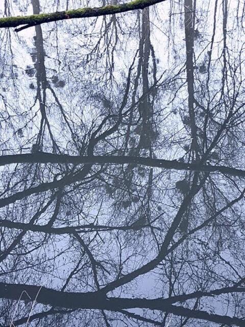 November _ Geheimnisvolle Spiegelungen