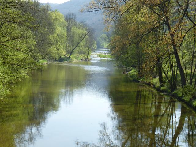 April _ Blick von der Kocherbrücke nach Süden, in Richtung Weilersbach - Braunsbach - Schwäbisch Hall