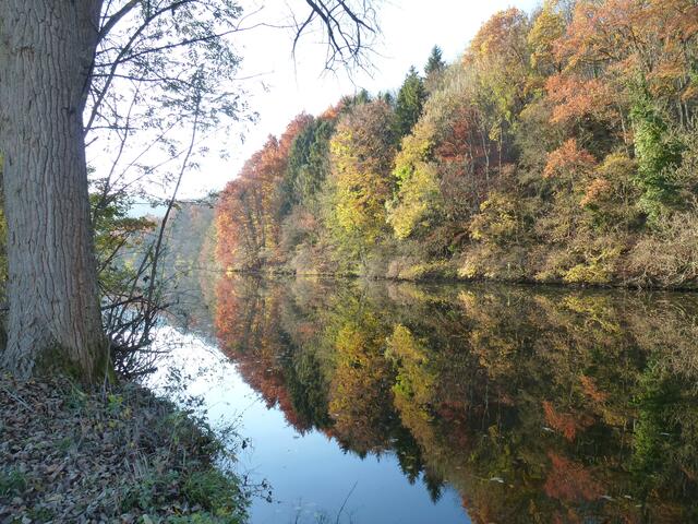 November _ Die bunt gefärbten Bäume spiegeln sich perfekt im stillen Kocher