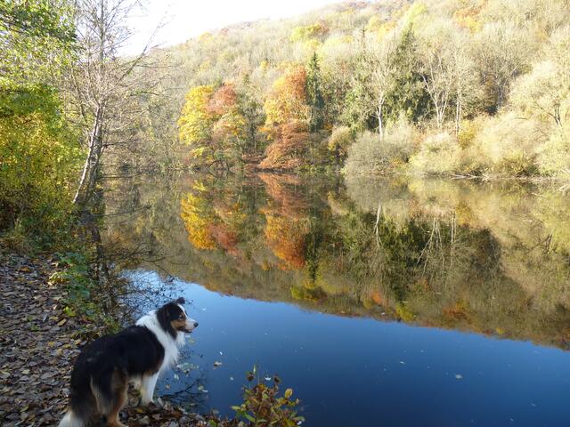 November _ Der Kocher gleicht einem stillen See
