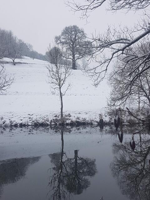 Januar _ Versetzte Spiegelung