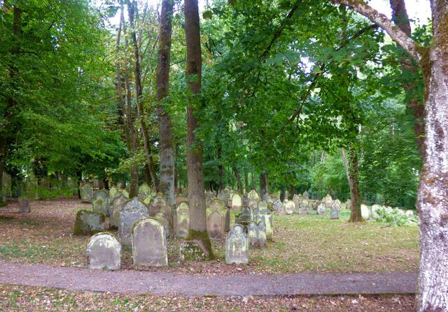Der Blick über die Mauer auf die durch Moose und Flechten grün schimmernden Grabsteine.