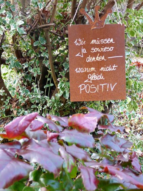 Ist das nicht ein toller Spruch?