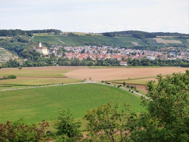 Blick ins Neckartal von Burg Guttenberg.