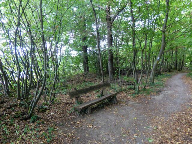 Ein schöner Ruheplatz am Wegesrand.