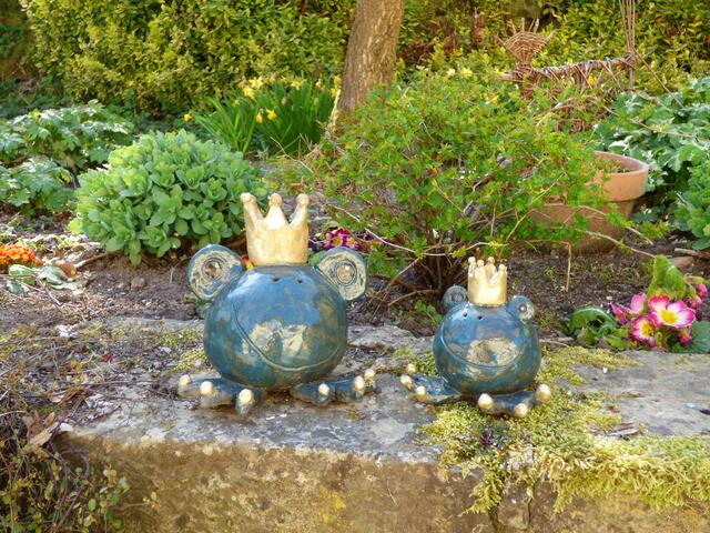 Die Froschkönige sind so herrlich anzuschauen.