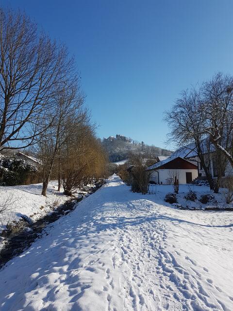 Februar _ Am Heiligenbach entlang kommt man zur Kelter, zum ehemaligen Gartenhaus und auf dem Walter-Heller-Weg auch zum Schloss