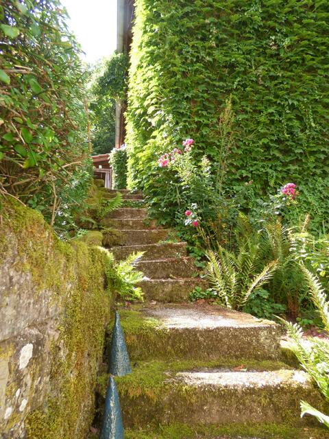 Auch diese idyllische Treppe ist im Garten der Sommersmühle zu finden - es bleibt alles sehr natürlich und naturnah.
