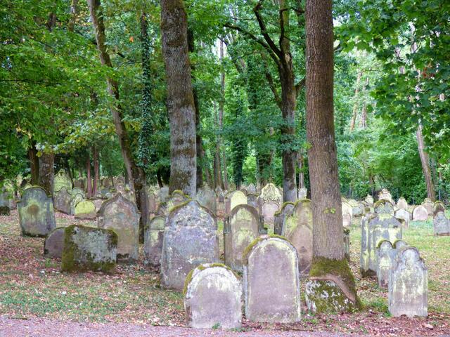 Der Jüdische Friedhof mit über 1000 kulturhistorisch und künstlerisch wertvollen Grabsteinen.
