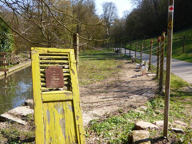 Ein richtiger Hingucker ist diese alte Türe als Deko eingesetzt.