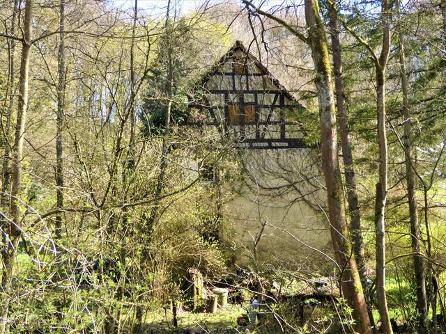 Die fast versteckt stehende Barthsmühle.
