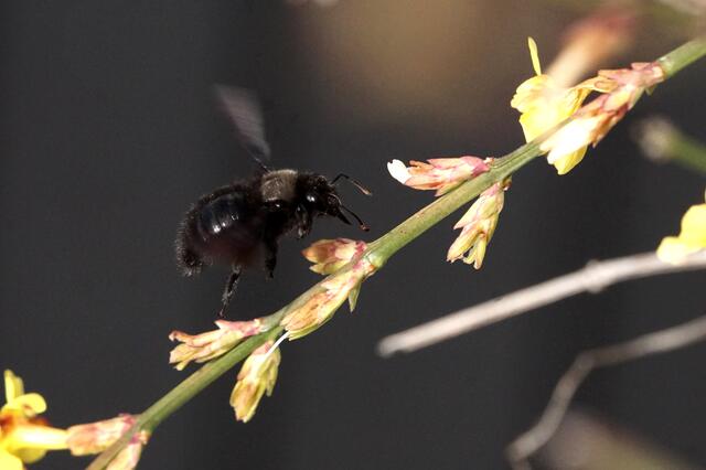 Foto: Eigene Bilder