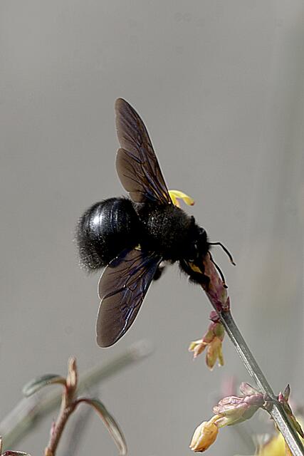 Foto: Eigene Bilder