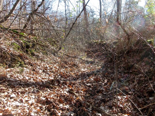 Der Weg sieht allerdings am Anfang so aus.