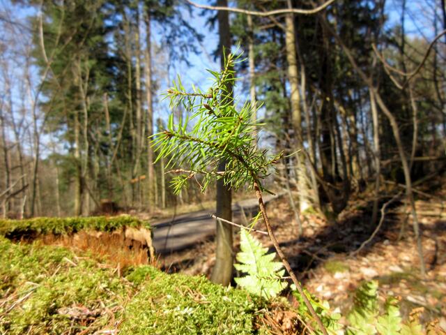 Frühling, Herz was willst du mehr.