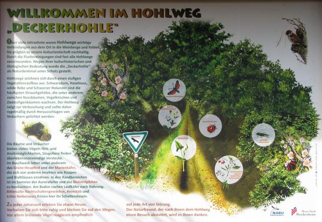https://www.stimme.de/archiv/neckar-zaber/auswahl2-Kein-andrer-Weg-fuehrt-nach-Schwaigern;art1910,478183 Schon 2005 hat die Heilbronner Stimme über Naturdenkmale eine Serie gemacht, wo dieser schöne Hohlweg erwähnt wird.