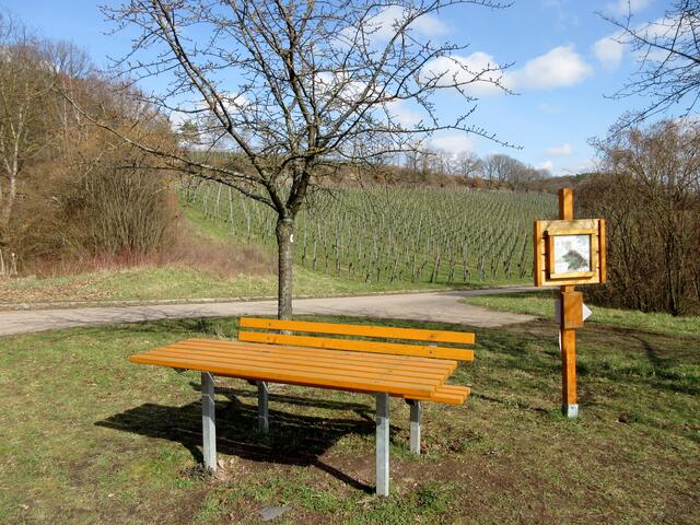 Auch an Sitzgelegenheiten mangelt es nicht, und so können auch weniger trainierte Wanderer hier mit entsprechenden Pausen ihre Runden gehen.