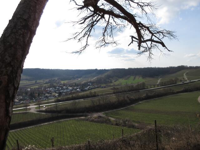 Erste Aussicht am Zweifelberg