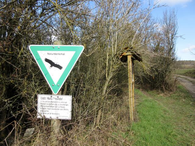 Überhaupt ist der Naturlehrpfad rund um Neipperg sehr schön angelegt.
