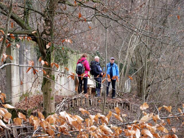 Auch dieser kleinen Gruppe konnten wir wieder etwas Neues im Wald zeigen.