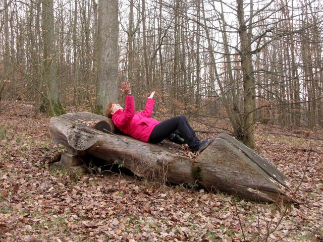 Auch die Entspannung und das Waldbaden gehören zum Sport.