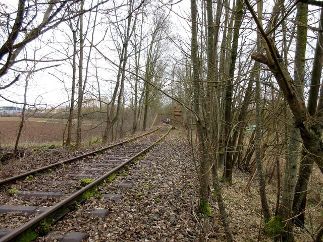 Wir trauten fast unseren Augen nicht, als uns auf der ehemaligen Zabergäubahnstrecke eine Draisine entgegen kam.