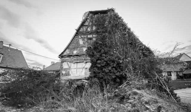 LP in Stockheim