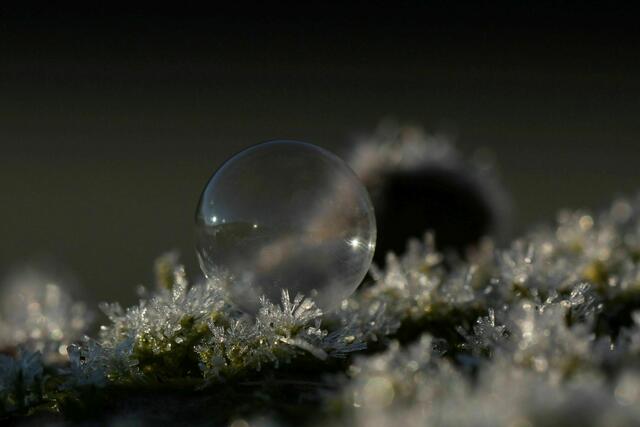 Auf Eiskristallen und fror trotzdem nicht zu.
