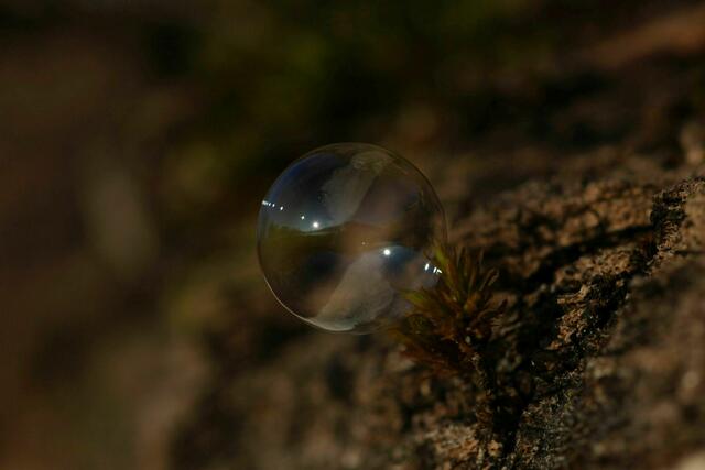 Das war´s. Die Umgebung ist wieder aufgetaut.