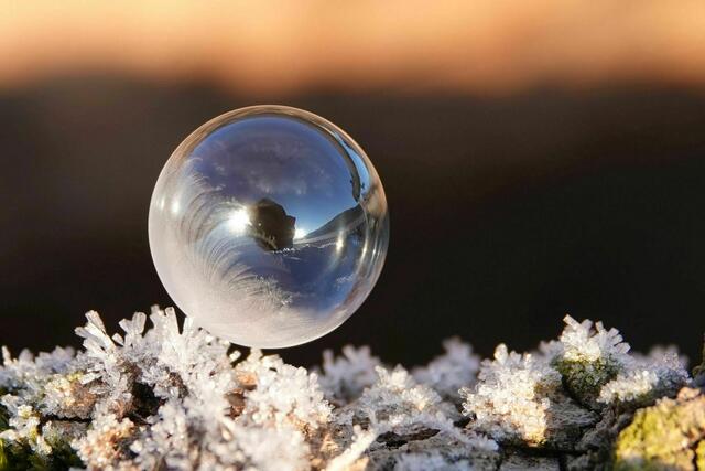 Hätte ich mich doch bloß aus der Blase rausgehalten ...