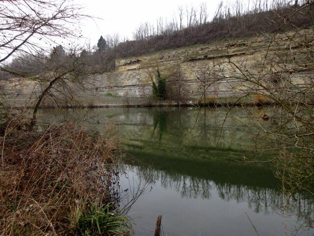 Man hat vom Kappisgraben in Lauffen aus einen schönen Blick auf das Naturschutzgebiet Prallhang bei Lauffen