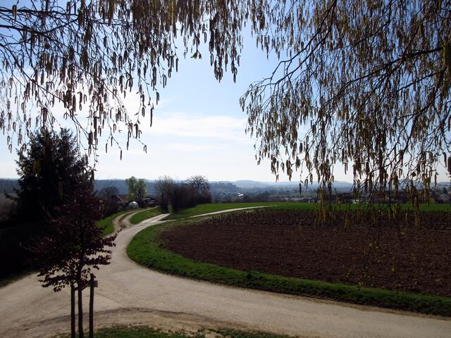 Wir standen auf einer Erhöhung und haben uns die Hainbuche angesehen, dabei hat man einen tollen Ausblick bis zur Burg Stettenfels. Auf der Karte sieht man nicht, was hier für ein Bauwerk ist, vielleicht ein Brunnen.