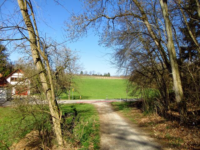 Ein ungewohnter Ausblick hinüber zum Schweinsberg, man muss schon ganz genau hinsehen und vergrößern, um den Funkturm zu entdecken