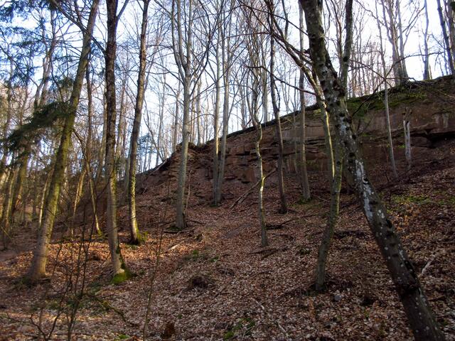 Wenn man früh morgens losgeht, steht die Sonne noch so tief... das gibt ein schönes Lichtspiel in den Fleiner Steinbruch