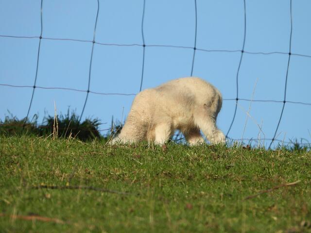 Auch wenn sich dieses versteckte ;-)