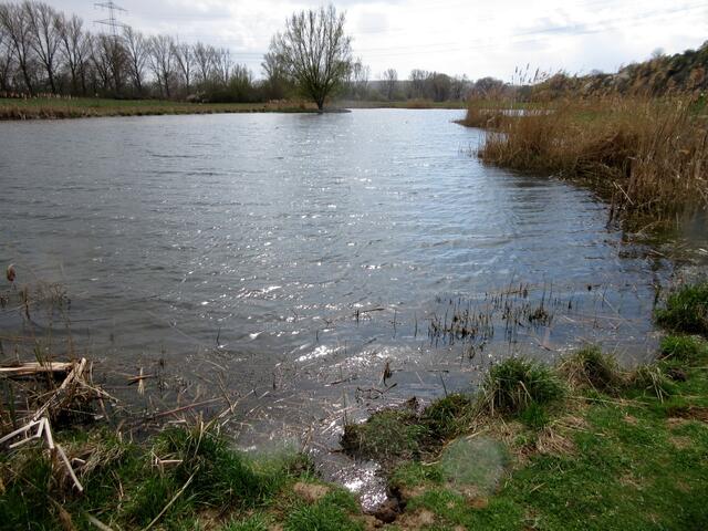 Klingenberger Flutmulde
