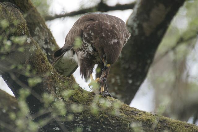 Foto: Eigene Bilder