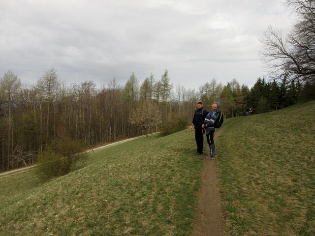 An der linken Flanke des Schönbergs entlang auf dem Weg zur Wanne. Wir haben uns den Abstieg ins Maustal gespart und sind direkt hin.