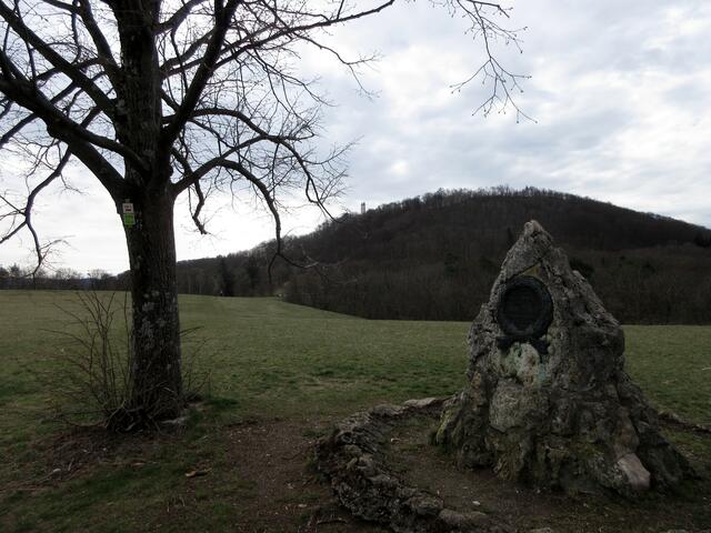 In der Wanne haben früher wohl Bergfeste stattgefunden. Jedenfalls ist das Denkmal dem "Vater der Bergfeste, Fritz Boley vom VFL Pfullingen gewidmet.