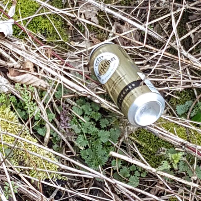 Das einzig Wahre ist es sicher nicht, die Bierdose aus dem Auto zu werfen