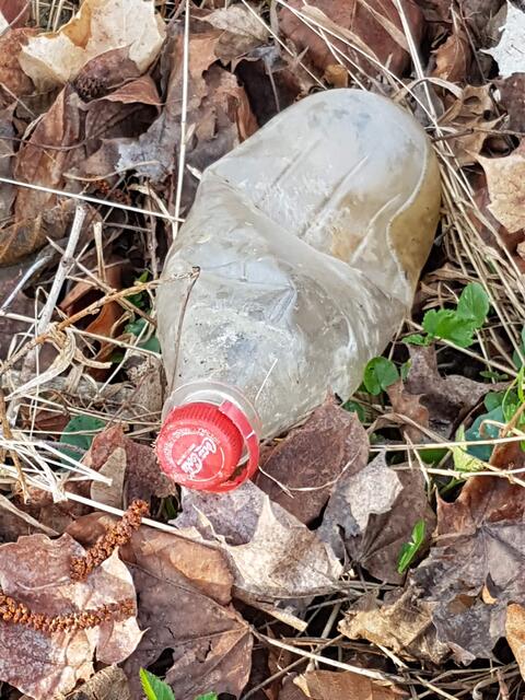 Auf diese trübe Colaflasche bin ich am Kocherufer gestoßen - keine gute Werbung!